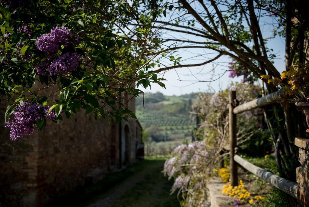 Vila Borgo Amarrante Montaione Exteriér fotografie