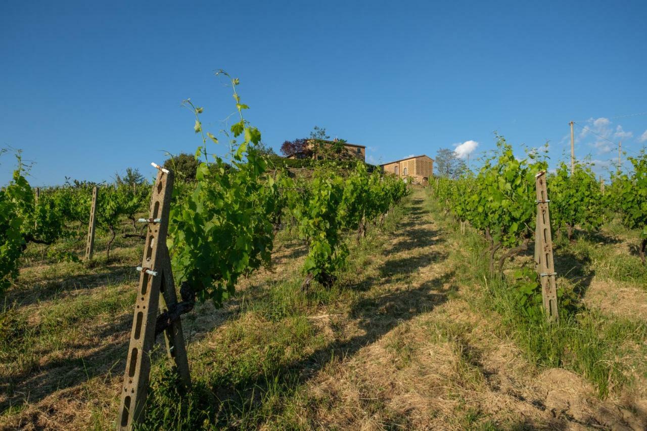 Vila Borgo Amarrante Montaione Exteriér fotografie